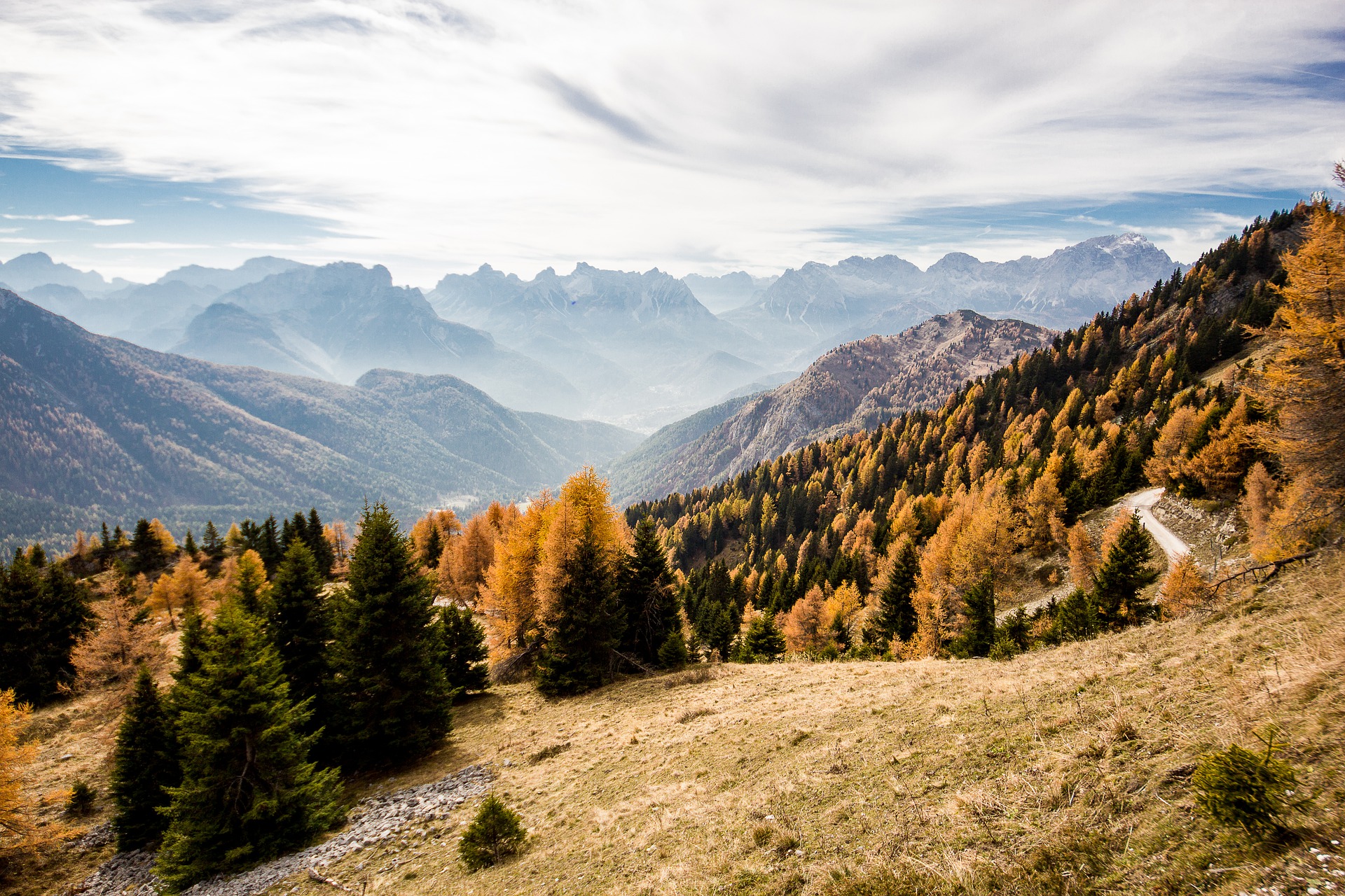 autumn colours