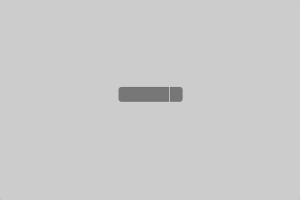 split button